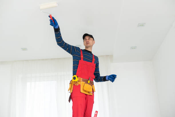 Best Mold Damage Restoration  in Waikele, HI