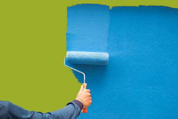 Best Basement Mold Removal  in Waikele, HI