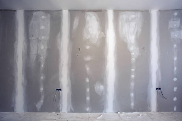 Best Industrial Mold Remediation  in Waikele, HI