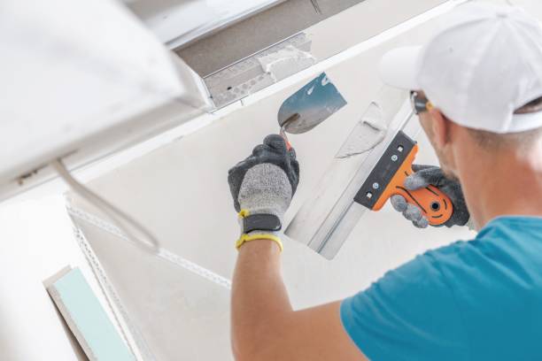 Best Mold Prevention Services  in Waikele, HI
